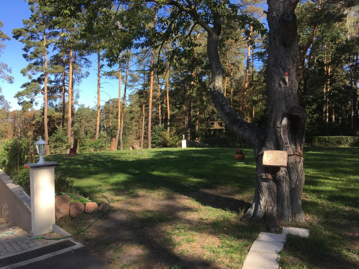 Penzion v Zálesí Mladá Boleslav Exteriér fotografie